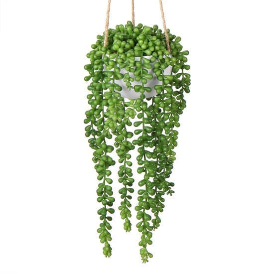 Unyqoos® Levensechte kunstvetplant als wanddecoratie voor binnen en buiten groente, 35 cm