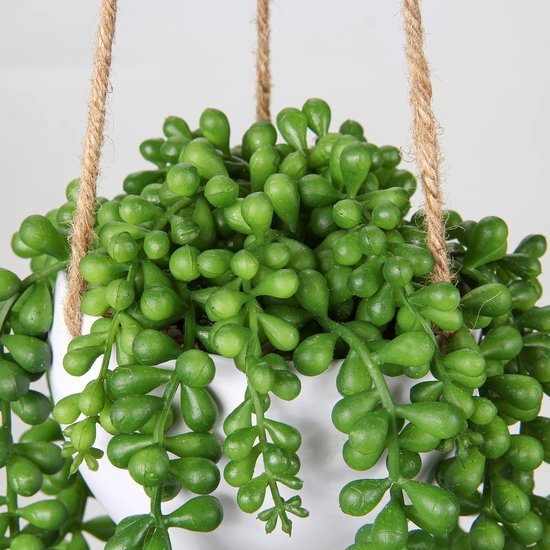 Unyqoos® Levensechte kunstvetplant als wanddecoratie voor binnen en buiten groente, 35 cm