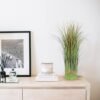 Unyqoos® Set van 2 realistische kunstplanten voor decoratie in huis of kantoor