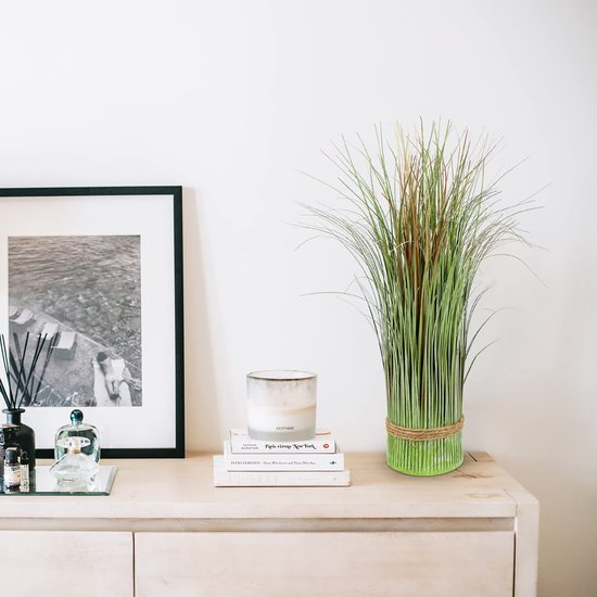 Unyqoos® Set van 2 realistische kunstplanten voor decoratie in huis of kantoor