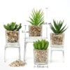 550x550-20844.jpg Unyqoos® Set van vier realistische vetplanten in glazen pot voor sfeervolle decoratie