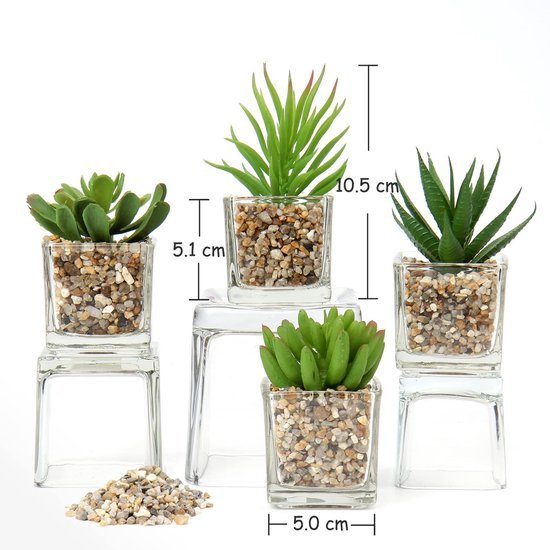550x550-20844.jpg Unyqoos® Set van vier realistische vetplanten in glazen pot voor sfeervolle decoratie