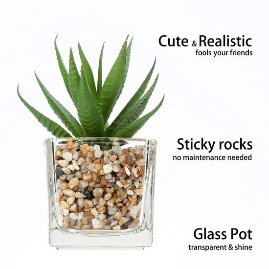 550x550-20845.jpg Unyqoos® Set van vier realistische vetplanten in glazen pot voor sfeervolle decoratie