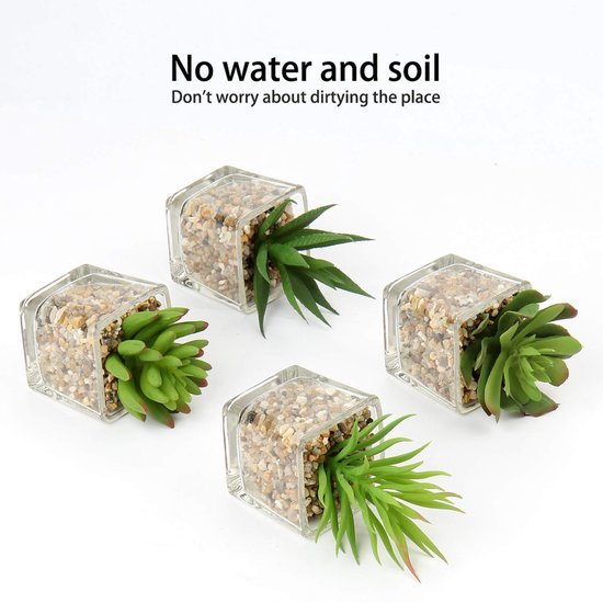 550x550-20848.jpg Unyqoos® Set van vier realistische vetplanten in glazen pot voor sfeervolle decoratie