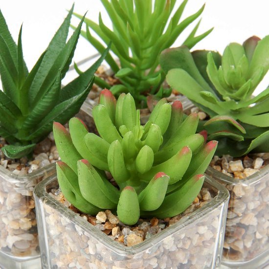 550x550-20849.jpg Unyqoos® Set van vier realistische vetplanten in glazen pot voor sfeervolle decoratie