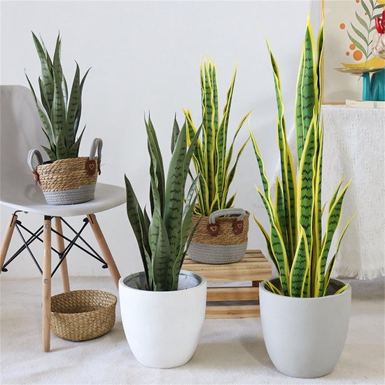 550x550-20850.jpg Unyqoos® Levensechte kunst Sansevieria plant voor interieur en exterieur decoratie