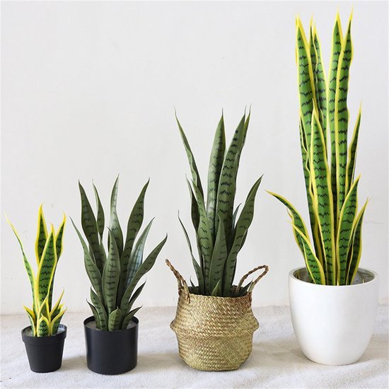 550x550-20853.jpg Unyqoos® Levensechte kunst Sansevieria plant voor interieur en exterieur decoratie
