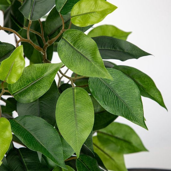 Unyqoos® Realistische kunstficus in pot voor stijlvolle decoratie in huis of kantoor