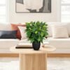 Unyqoos® Realistische kunstficus in pot voor stijlvolle decoratie in huis of kantoor