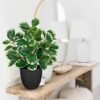 Unyqoos® Realistische 37 cm Kunstplant in Pot voor Huis en Kantoor Decoratie, groente, 37cm
