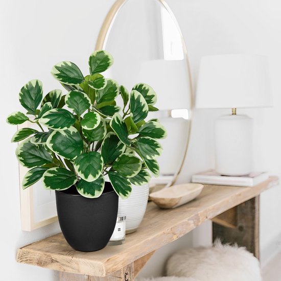 Unyqoos® Realistische 37 cm Kunstplant in Pot voor Huis en Kantoor Decoratie, groente, 37cm