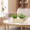 550x550-20879.jpg Unyqoos® Set van twee vrolijke kunstplanten met pot voor decoratie in huis