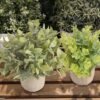 Unyqoos® Set van Drie Kunststof Eucalyptus Planten in Pot voor Interieurdecoratie, groente, 22 cm, 3stuks