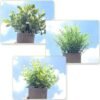 Unyqoos® Set van Drie Kunststof Eucalyptus Planten in Pot voor Interieurdecoratie, groente, 22 cm, 3stuks