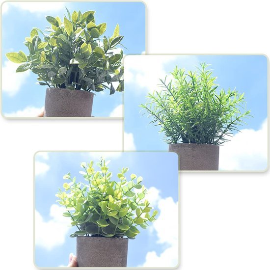 Unyqoos® Set van Drie Kunststof Eucalyptus Planten in Pot voor Interieurdecoratie, groente, 22 cm, 3stuks
