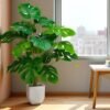 Unyqoos® Levensechte 70 cm Kunstplant voor Stijlvolle Binnenhuisdecoratie
