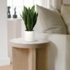 Unyqoos® Decoratieve kunstplant Sansevieria in stijlvolle keramische pot voor elk interieur