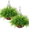 550x550-20924.jpg Unyqoos® Twee Weerbestendige Kunstvarens in Mand voor Binnen en Buiten Decoratie