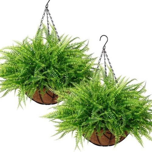 550x550-20924.jpg Unyqoos® Twee Weerbestendige Kunstvarens in Mand voor Binnen en Buiten Decoratie