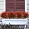 550x550-20931.jpg Unyqoos® Set van 8 Weerbestendige Kunstplanten voor Tuin en Terras Decoratie, rood, 40 cm , 8 stuks