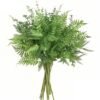 550x550-20952.jpg Unyqoos® Set van 12 Groene Kunstplanten voor Decoratieve Toepassingen Binnen en Buiten