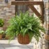550x550-20953.jpg Unyqoos® Set van 12 Groene Kunstplanten voor Decoratieve Toepassingen Binnen en Buiten