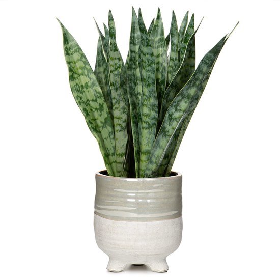 Unyqoos® Decoratieve kunstplant met keramische pot voor huis en kantoorinterieur