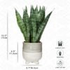 Unyqoos® Decoratieve kunstplant met keramische pot voor huis en kantoorinterieur