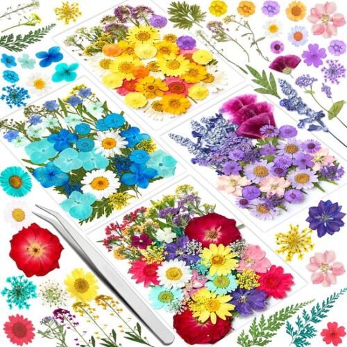 Unyqoos® Creatief Doe-het-zelf Pakket met 159 Unieke Gedroogde Bloemen en Pincet