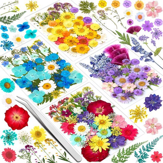 Unyqoos® Creatief Doe-het-zelf Pakket met 159 Unieke Gedroogde Bloemen en Pincet