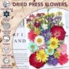 Unyqoos® Creatief Doe-het-zelf Pakket met 159 Unieke Gedroogde Bloemen en Pincet