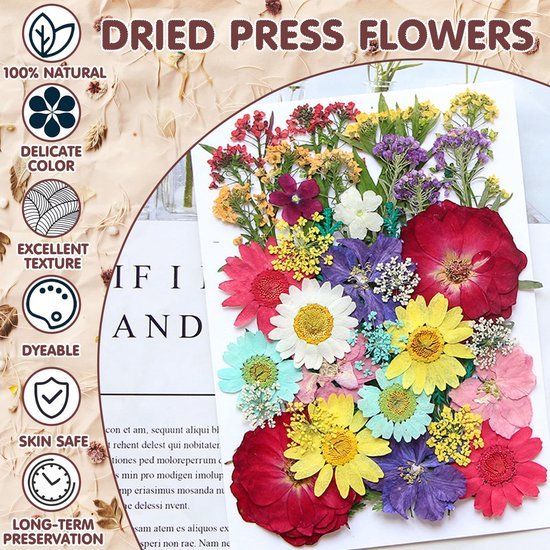 Unyqoos® Creatief Doe-het-zelf Pakket met 159 Unieke Gedroogde Bloemen en Pincet