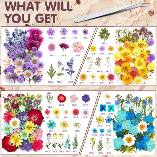 Unyqoos® Creatief Doe-het-zelf Pakket met 159 Unieke Gedroogde Bloemen en Pincet