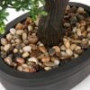 550x550-21227.jpg Unyqoos® Natuurgetrouwe kunstbonsai met gedetailleerde afwerking in keramische pot, pijnboom, 17 cm