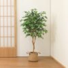 Unyqoos® Decoratieve kunstplant Ficus Benjamina van 150 cm voor interieur en kantoor