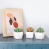 550x550-21235.jpg Unyqoos® Set van vijf kunstmatige mini-succulenten in witte keramische potten