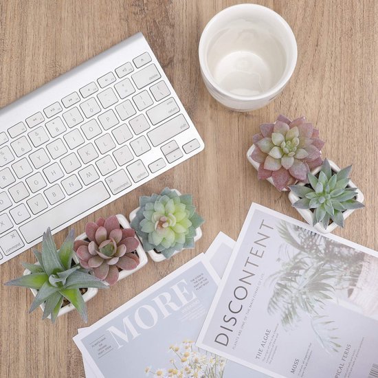 550x550-21236.jpg Unyqoos® Set van vijf kunstmatige mini-succulenten in witte keramische potten