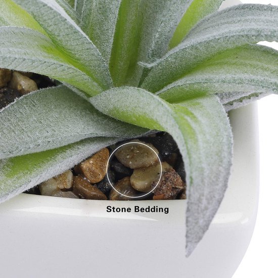 550x550-21237.jpg Unyqoos® Set van vijf kunstmatige mini-succulenten in witte keramische potten