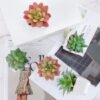 550x550-21238.jpg Unyqoos® Set van vijf kunstmatige mini-succulenten in witte keramische potten