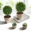 550x550-21281.jpg Unyqoos® Set van vier levensechte kunstplanten voor diverse interieurdecoratie