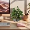 Unyqoos® Decoratieve kunstplant Peperomia in stevige cementpot voor binnen en buiten