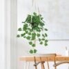 Unyqoos® Realistische hangende kunstplant voor binnen en buiten decoratie