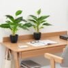 550x550-21424.jpg Unyqoos® Set van twee levensechte kunststof planten voor veelzijdige interieurdecoratie