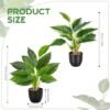550x550-21427.jpg Unyqoos® Set van twee levensechte kunststof planten voor veelzijdige interieurdecoratie