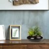 Unyqoos® Decoratieve kunstvetplant in stijlvolle keramische pot voor elke ruimte