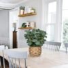 Unyqoos® Decoratieve kunstplant eucalyptus in pot voor sfeervol interieurontwerp