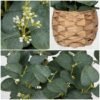 Unyqoos® Decoratieve kunstplant eucalyptus in pot voor sfeervol interieurontwerp