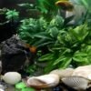 Unyqoos® Decoratieve kunstwaterplant van 40 cm voor aquarium en interieur, groente, 40 cm