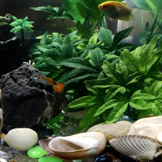 Unyqoos® Decoratieve kunstwaterplant van 40 cm voor aquarium en interieur, groente, 40 cm