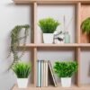 550x550-21756.jpg Unyqoos® Set van vier levensechte kunstplanten in pot voor stijlvolle binnenhuisdecoratie